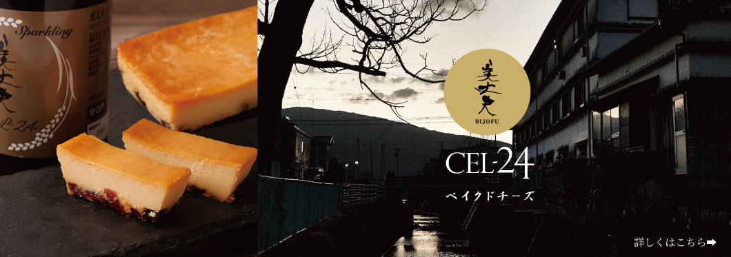 CEL-24ベイクドチーズケーキ