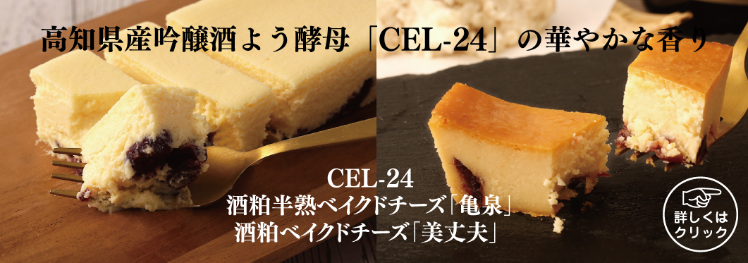 田野屋塩二郎シューラスク公式販売サイト｜ (株)スウィーツ