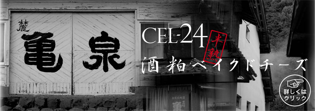 CEL-24 半熟ベイクドチーズケーキ（亀泉）