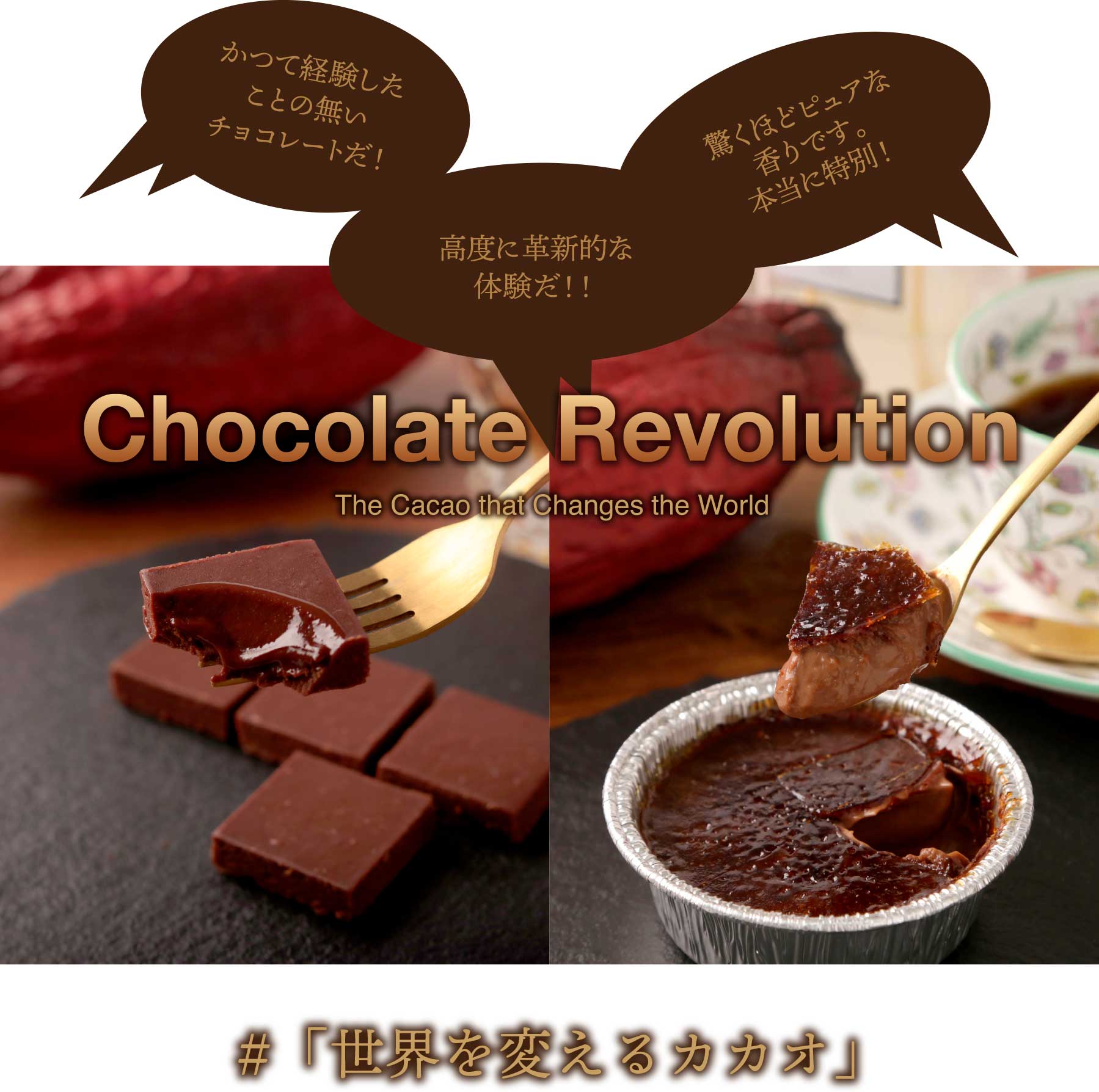 Chocolate Revolution The Cacao that Changes the World #「世界を変えるカカオ」大好評！につき追加販売いたします。