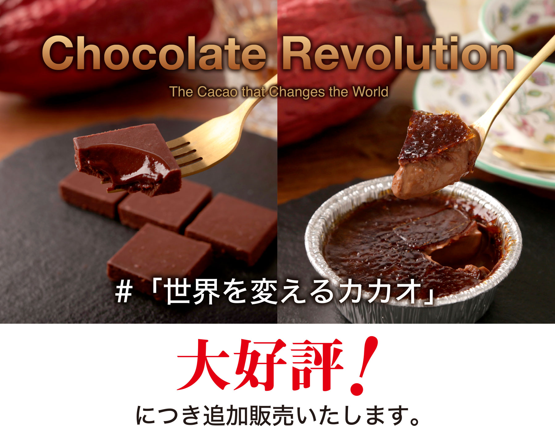 Chocolate Revolution The Cacao that Changes the World #「世界を変えるカカオ」大好評！につき追加販売いたします。