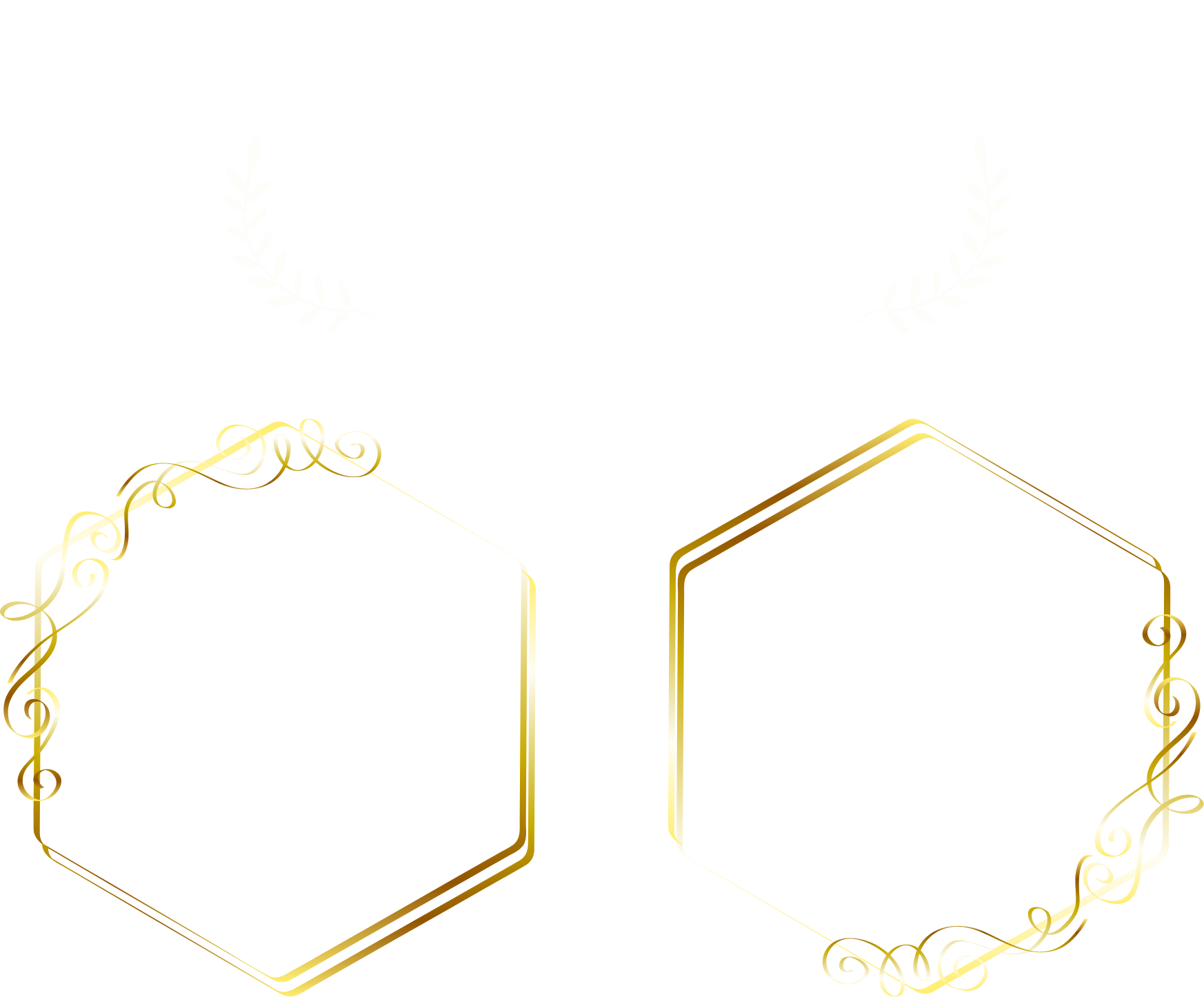 世界初 ケーキなのに小麦粉不使用 チョコレートなのに香料不使用