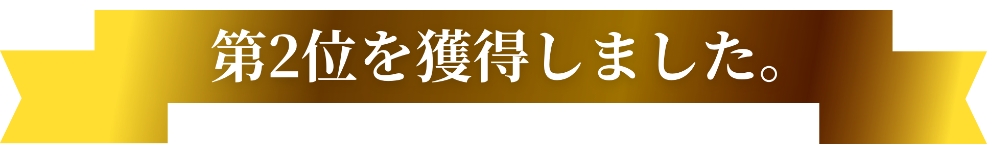 第2位を獲得しました。