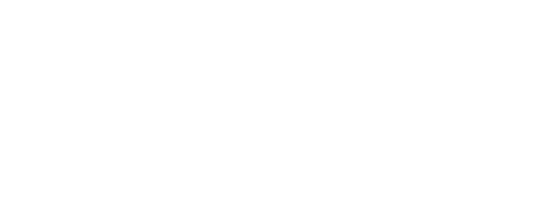 世界を変えるカカオ The Cacao Roll ¥3,240